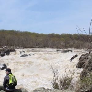 Meet your Posher, Joey